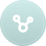 Network Icon
